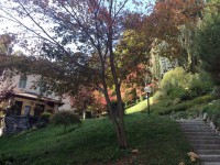 /album/galleria-fotografica/image-jpeg/