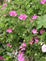 /album/galleria-fotografica/image-2-jpeg/