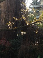 /album/galleria-fotografica/image-3-jpeg/