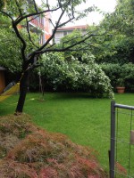 /album/galleria-fotografica/image-5-jpeg/