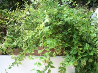 /album/galleria-fotografica/image-8-jpeg/